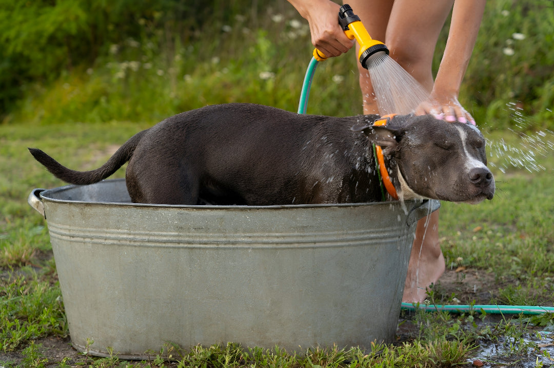 Gentle Pet Bath Supplies Keep Pets Fresh